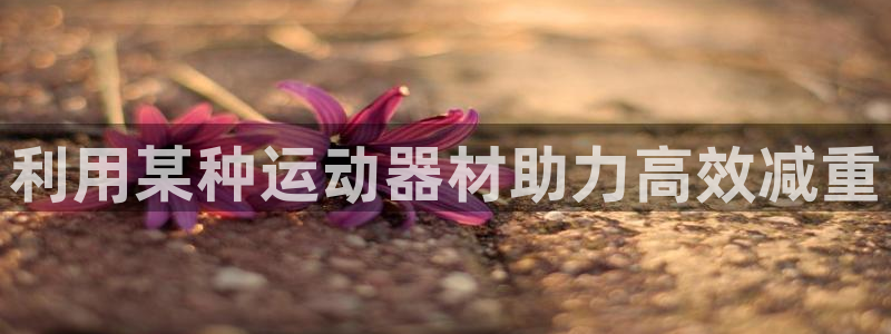 海南凯捷体育发展怎么样:利用某种运动器材助力高效减重