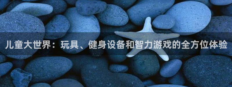 凯捷体育招商电话地址:儿童大世界:玩具、健身设备和智力游戏的