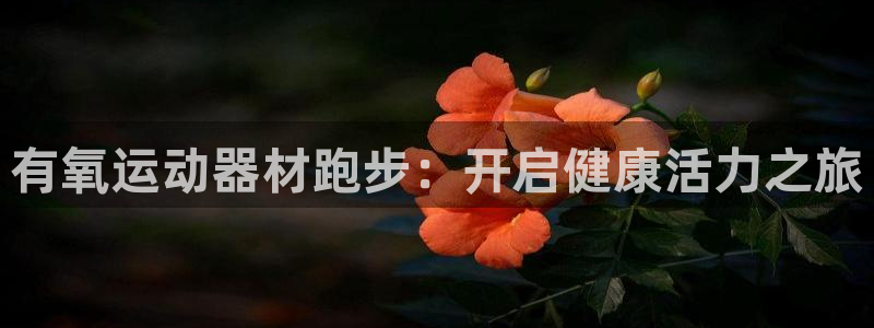凯捷体育招商电话地址是多少:有氧运动器材跑步:开启健康活力之