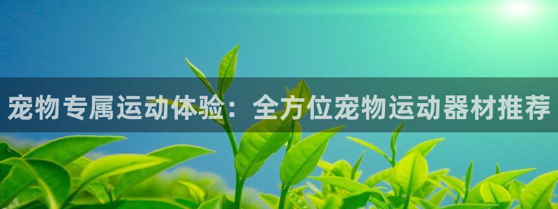 凯捷体育招商电话是多少啊:宠物专属运动体验:全方位宠物运动器
