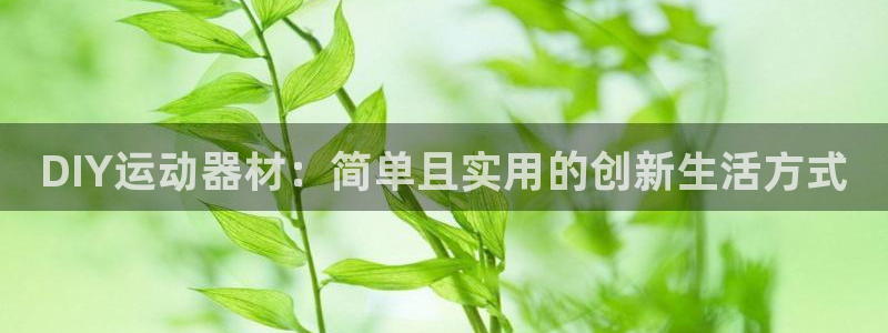 注册凯捷体育:DIY运动器材:简单且实用的创新生活方式